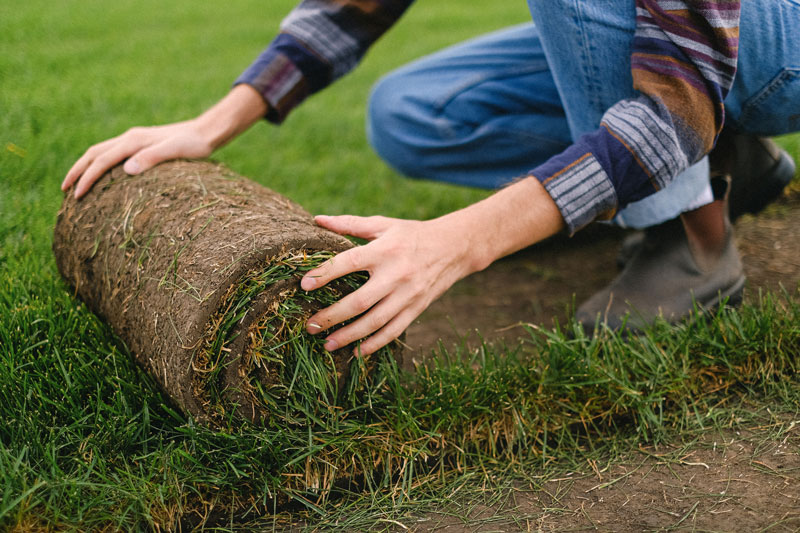 turfing and flowerbeds, stafford